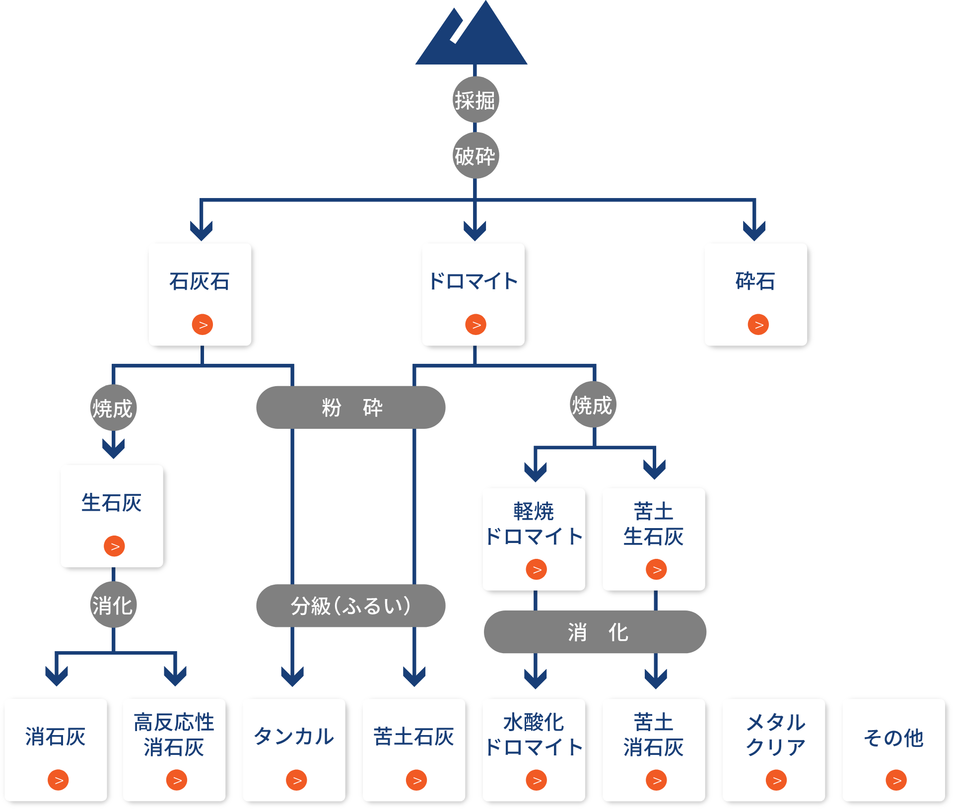 分類表